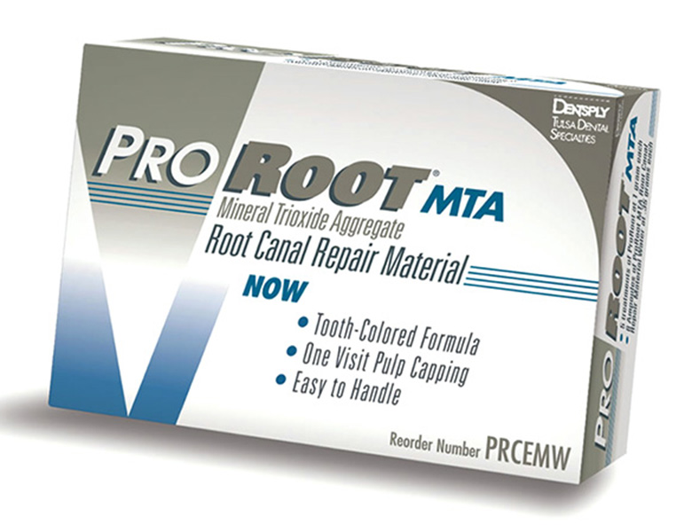 千葉県茂原市の歯医者、たけ歯科クリニックのなるべく削らず、歯を守る治療